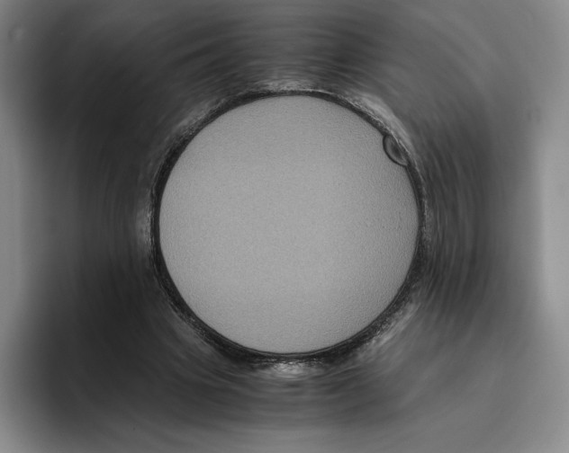 X0000096400441200802211207