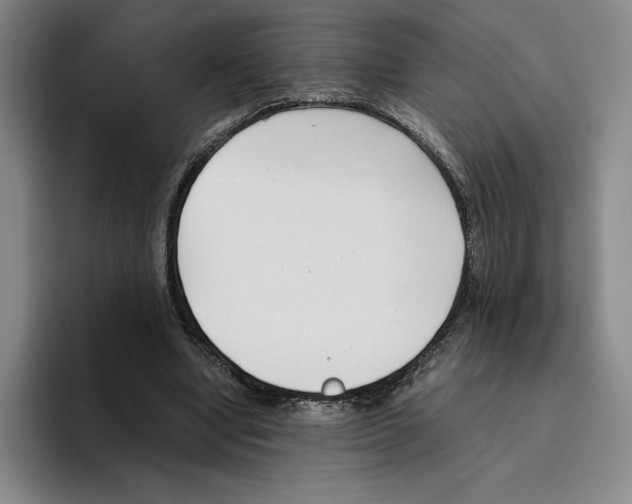 X0000096400442200802211207