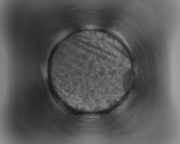 X0000096400443200802211207