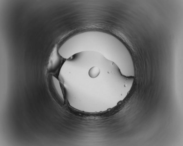 X0000096400444200802211207