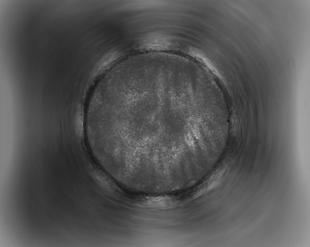 X0000096400446200802211207