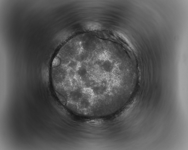 X0000096400447200802211207