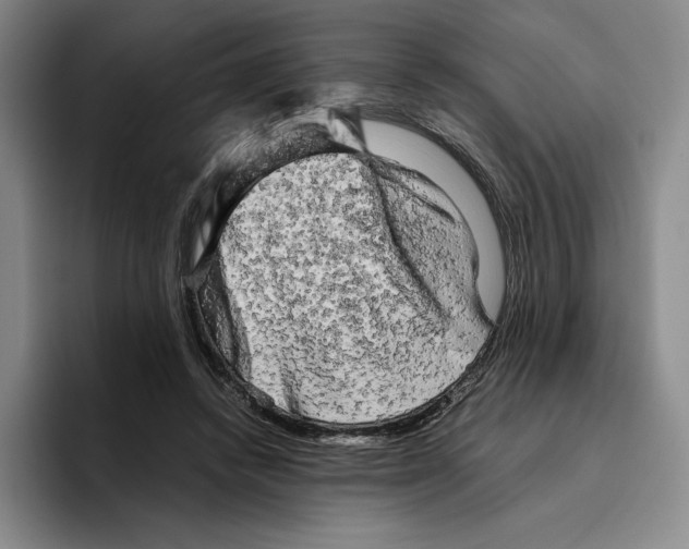 X0000096400448200802211207