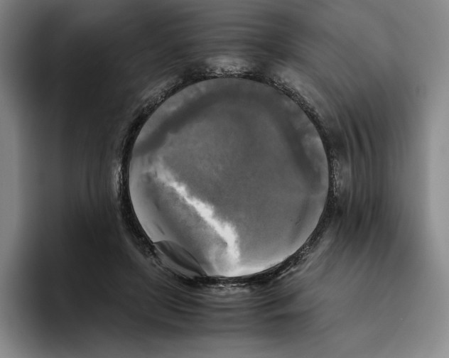 X0000096400451200802211207