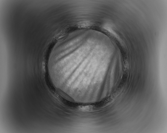 X0000096400452200802211207