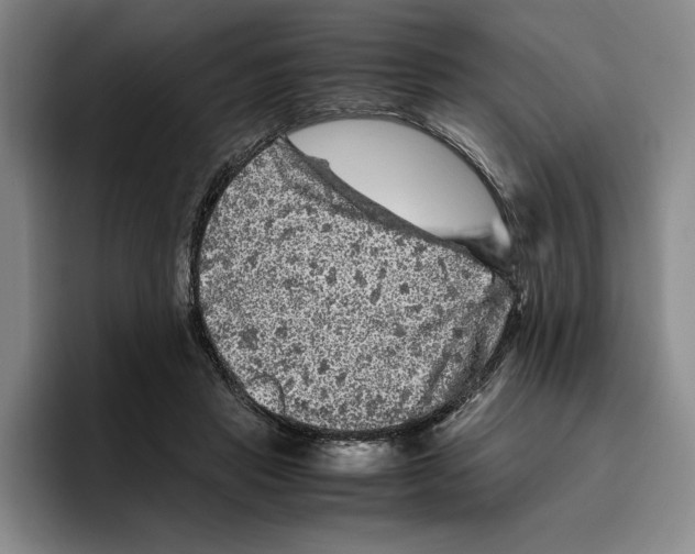 X0000096400453200802211207