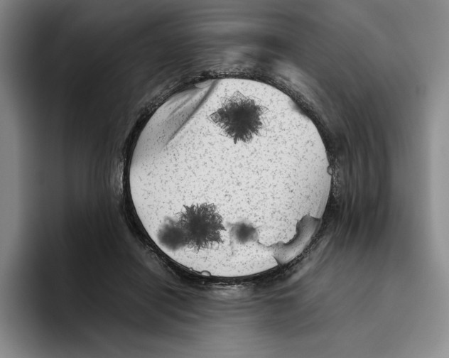 X0000096400454200802211207