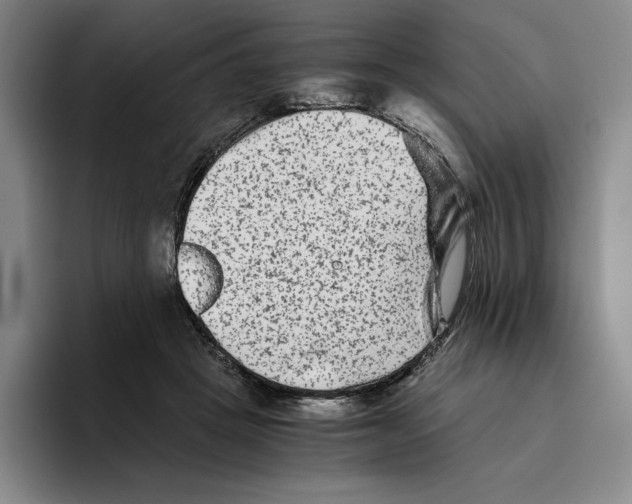 X0000096400457200802211207