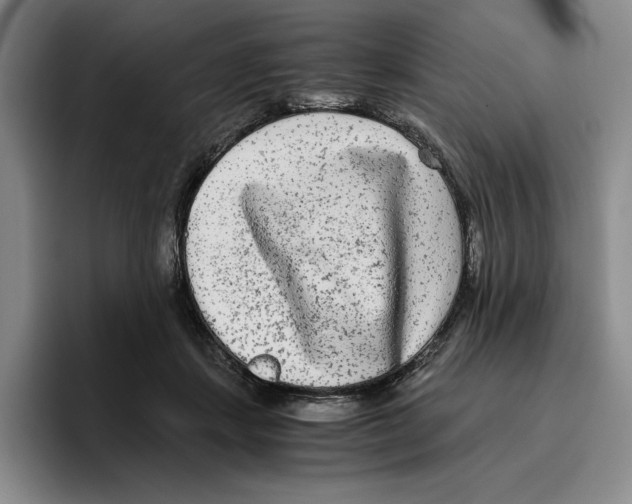 X0000096400459200802211207