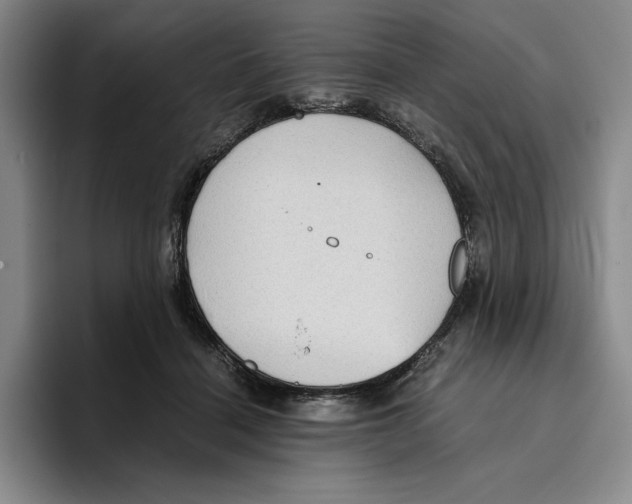 X0000096400460200802211207