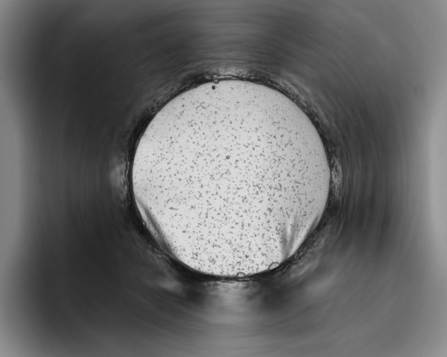 X0000096400462200802211207