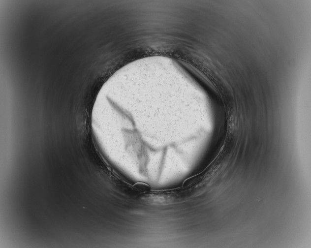 X0000096400464200802211207