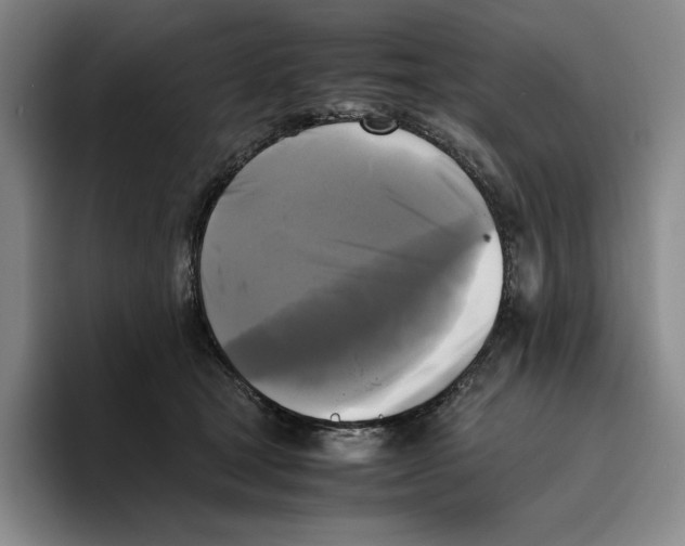 X0000096400465200802211207