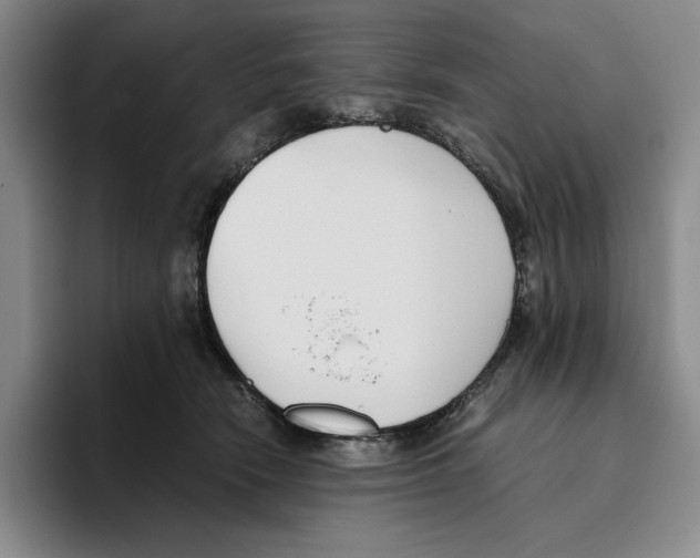 X0000096400466200802211207