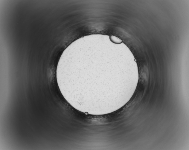 X0000096400468200802211207