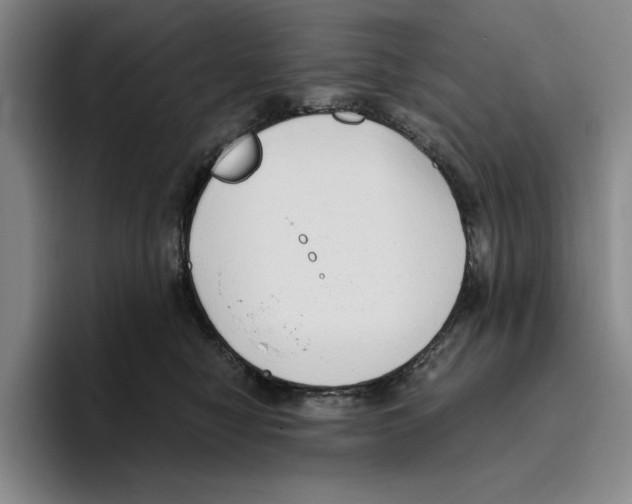 X0000096400470200802211207