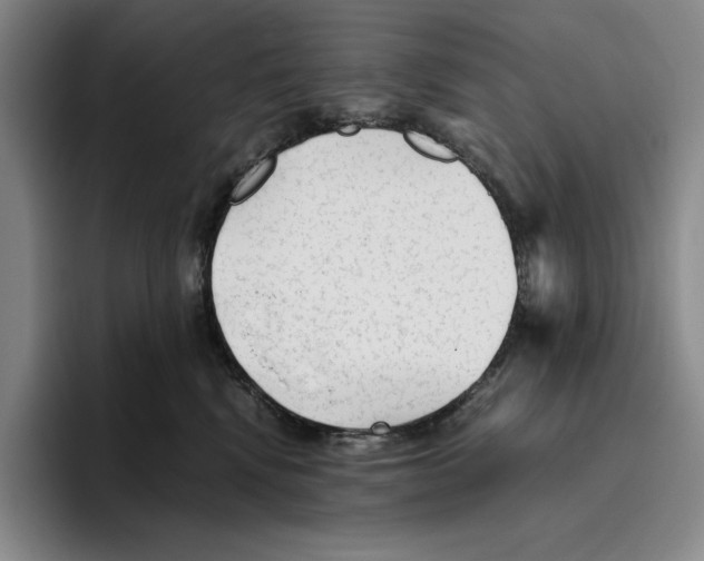 X0000096400472200802211207