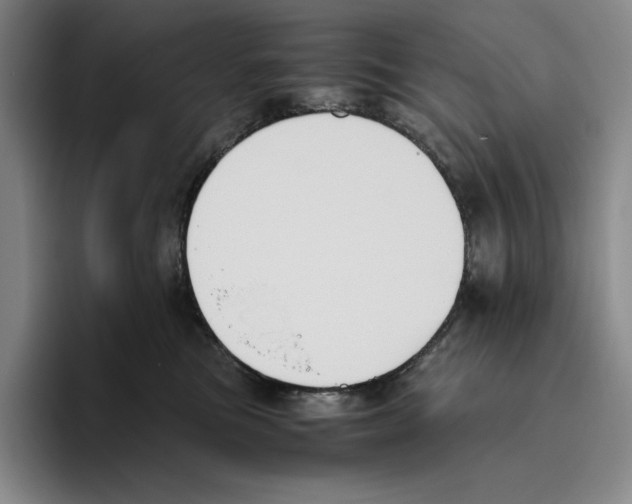 X0000096400473200802211207