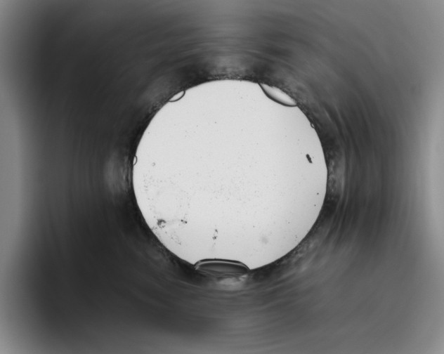 X0000096400474200802211207