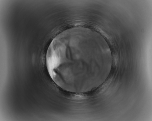 X0000096400475200802211207