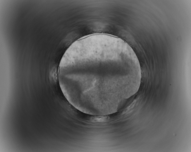 X0000096400479200802211207