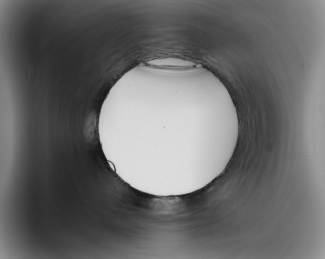 X0000096400480200802211207