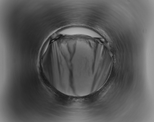 X0000096400484200802211207