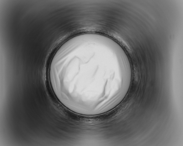 X0000096400486200802211207