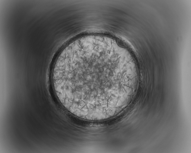 X0000096400487200802211207