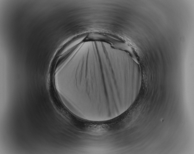 X0000096400488200802211207