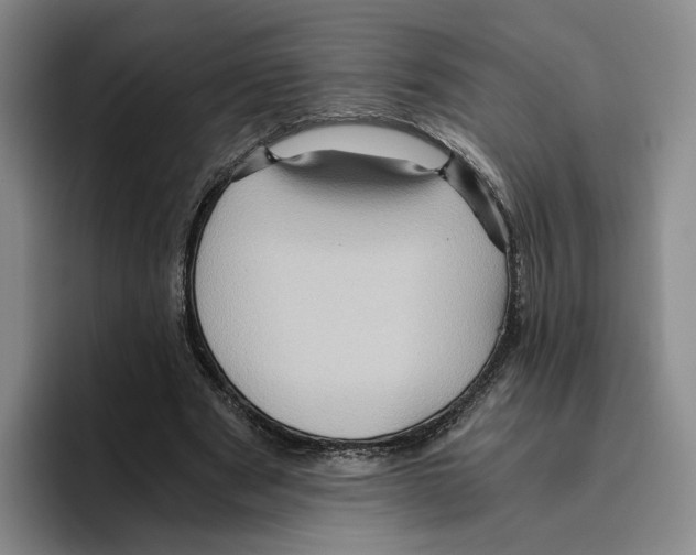 X0000096400489200802211207