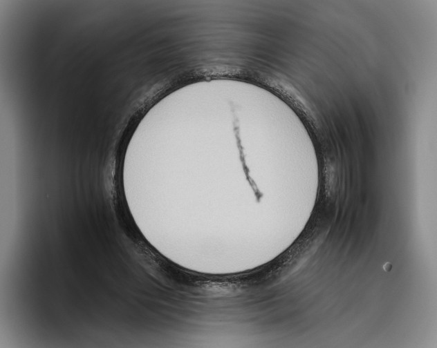 X0000096400490200802211207