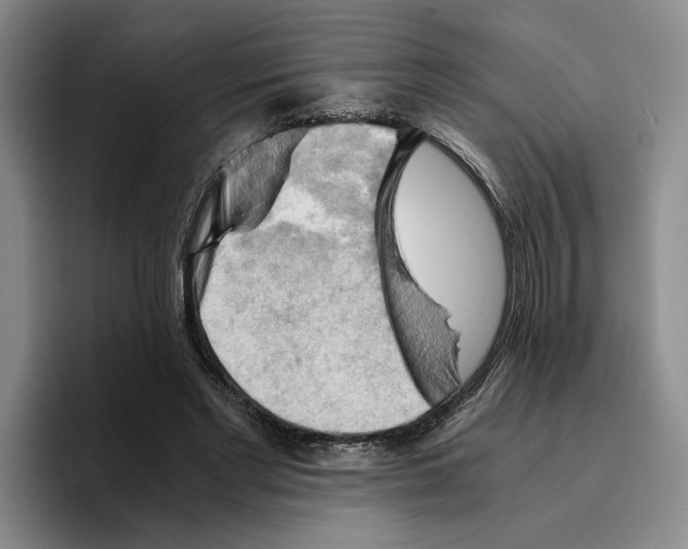 X0000096400493200802211206