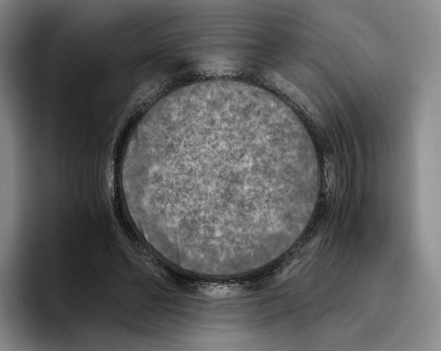 X0000096400494200802211206