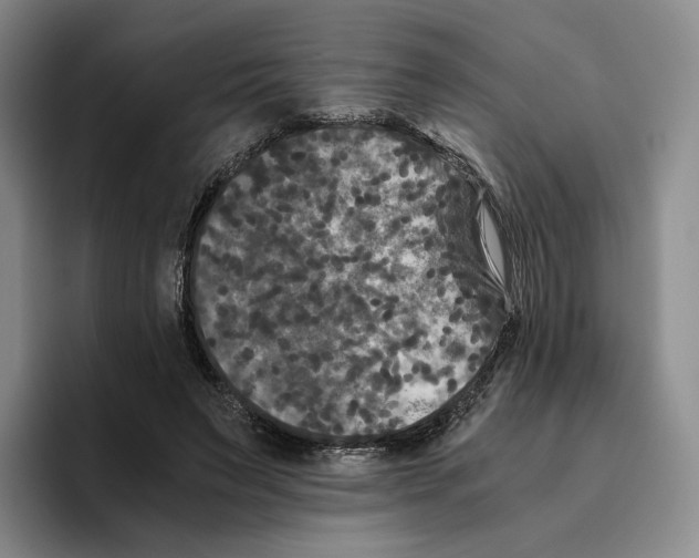 X0000096400495200802211206