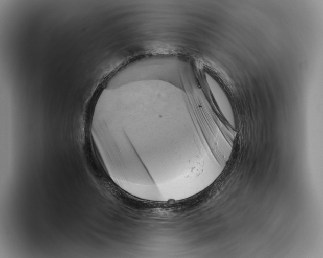 X0000096400496200802211206