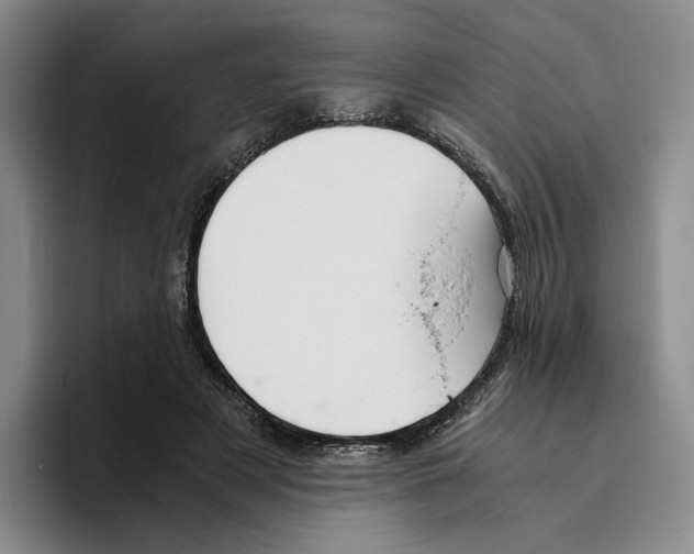 X0000096400497200802211206