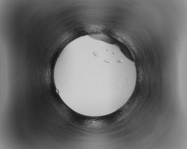 X0000096400498200802211206