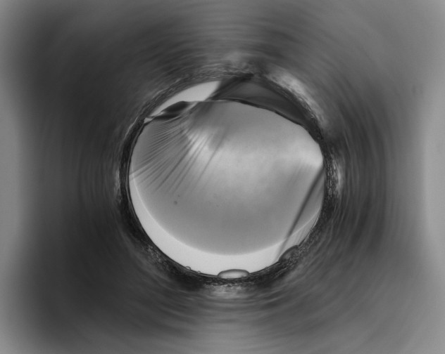 X0000096400500200802211206