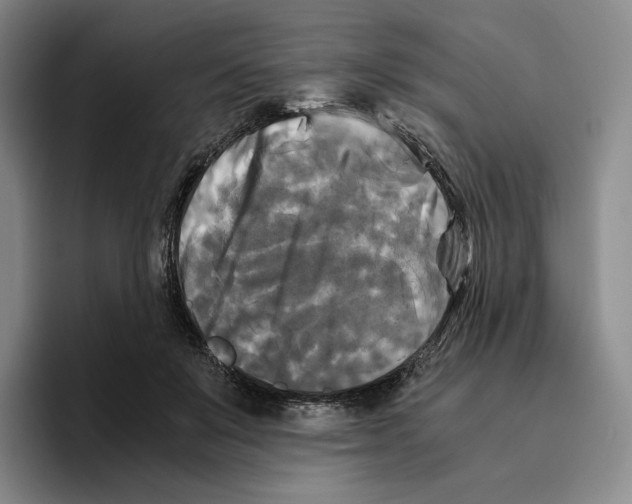 X0000096400503200802211206