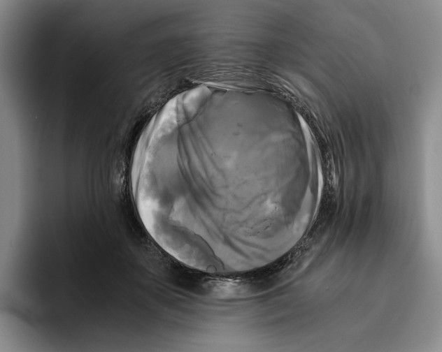 X0000096400507200802211206