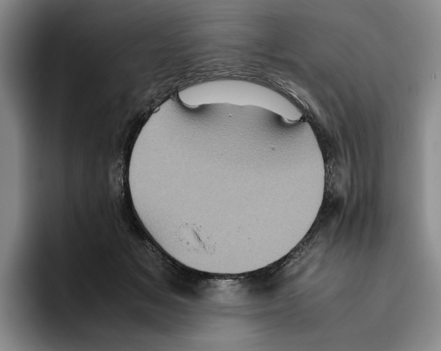 X0000096400509200802211206