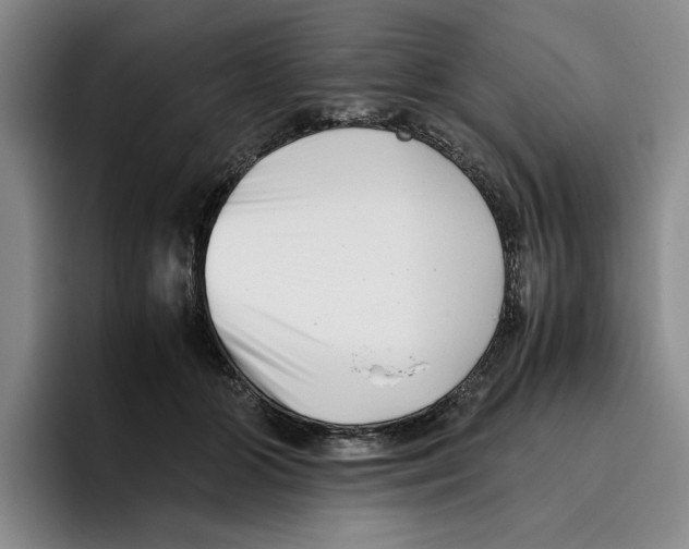 X0000096400510200802211206