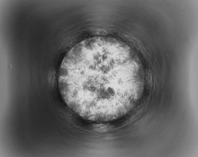 X0000096400511200802211206
