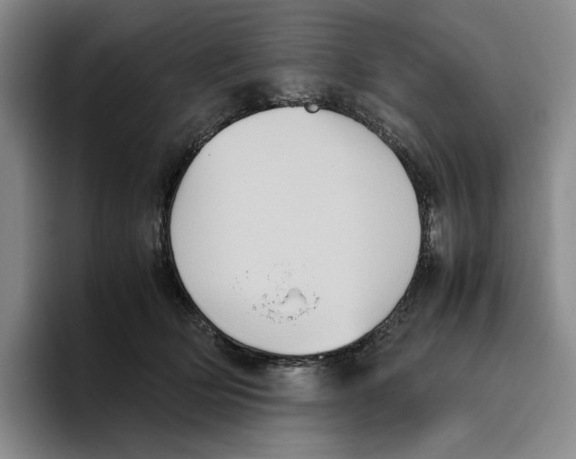 X0000096400514200802211206