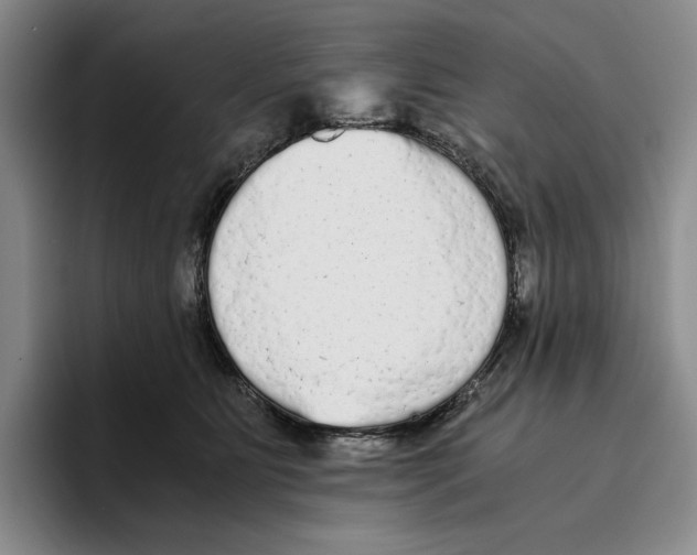 X0000096400515200802211206