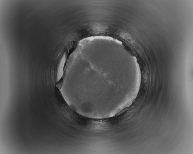 X0000096400516200802211206