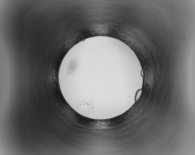 X0000096400518200802211206