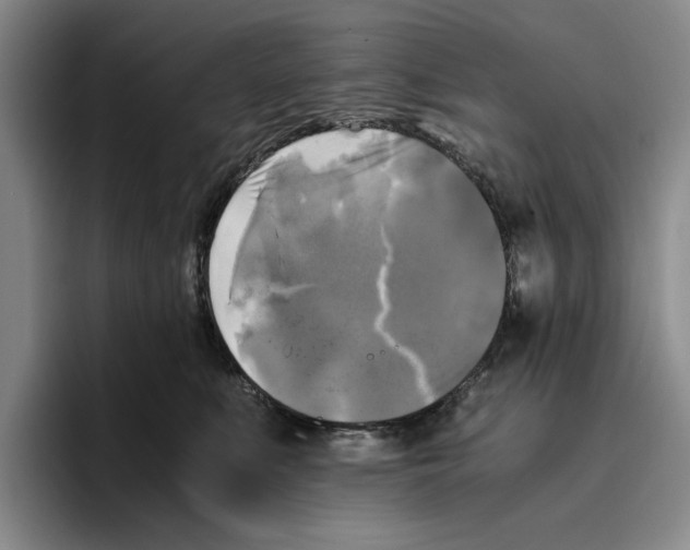 X0000096400519200802211206