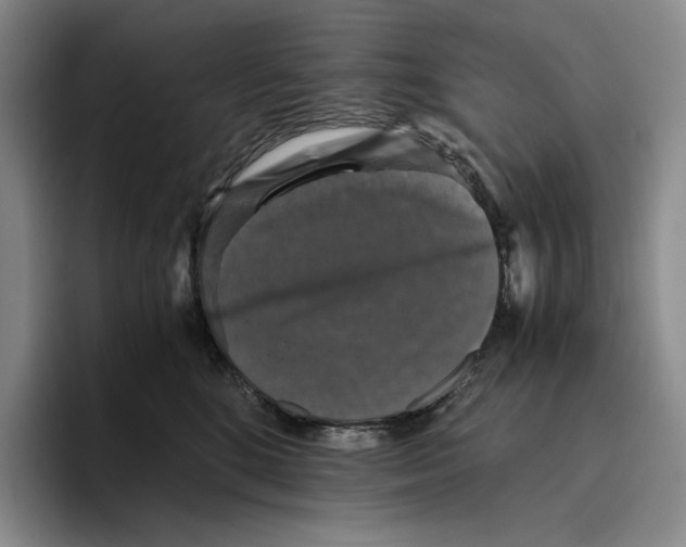 X0000096400520200802211206